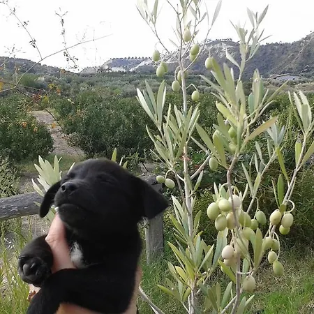 度假居 Rio Rosa 博瓦马里纳