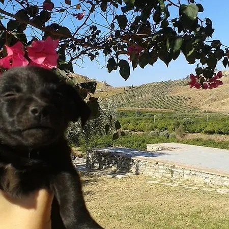 Rio Rosa 博瓦马里纳