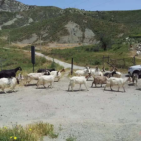 Сasa de vacaciones Rio Rosa *