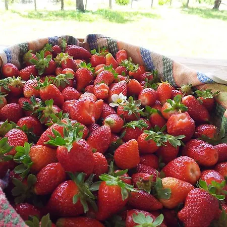 Rio Rosa 博瓦马里纳