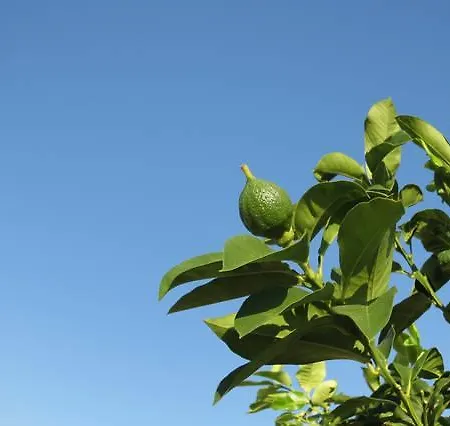 度假居 Rio Rosa 博瓦马里纳