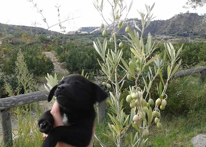 Casa de Férias Rio Rosa Bova Marina