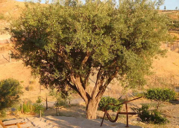 Casa de Férias Rio Rosa *