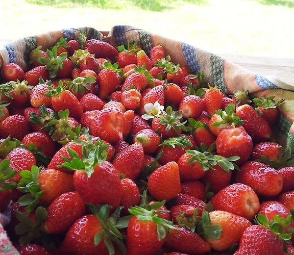 Rio Rosa Bova Marina